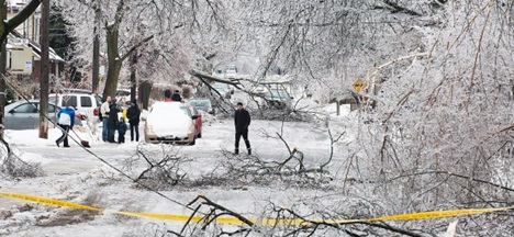 Foto de arquivo de tempestade de gelo em Toronto que derrubou árvores e linhas de eletricidade em grande parte da cidade - 22 de dezembro de 2013. (Aaron Vincent Elkaim/The Canadian Press)
