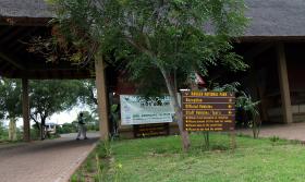 DOIS LEÕES E MAIS DE 100 ABUTRES ENVENENADOS NO PARQUE KRUGER, NA ÁFRICA DO SUL