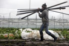 PREJUÍZOS DO MAU TEMPO DE FEVEREIRO PODEM CHEGAR AOS 15 MILHÕES DE EUROS