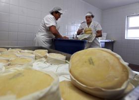 GOVERNO QUER GARANTIR AUTENTICIDADE DO QUEIJO CERTIFICADO DA SERRA DA ESTRELA