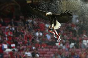 BENFICA JÁ VENDEU OS SEUS BILHETES PARA DÉRBI COM SPORTING, EM ALVALADE