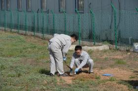 CHINA QUER CONSTRUIR 30 CENTRAIS NUCLEARES NA ROTA DA SEDA