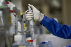 MORREU O CIENTISTA MIGUEL MOTA, PIONEIRO DA DIVISÃO CELULAR