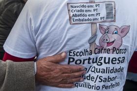 SUINICULTORES PREPARAM PARA HOJE “MARCHA FÚNEBRE” EM LEIRIA