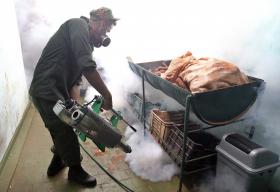 CUBA ANUNCIA NOVA CAMPANHA PARA TENTAR ELIMINAR MOSQUITO DO ZIKA