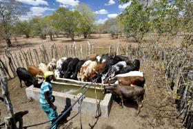 FOME E SECA PROVOCA VAGA DE DESLOCADOS NO CENTRO DE MOÇAMBIQUE