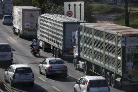 CAMIÕES EM MARCHA LENTA 4.ª FEIRA CONTRA AUMENTO DOS IMPOSTOS SOBRE COMBUSTÍVEIS