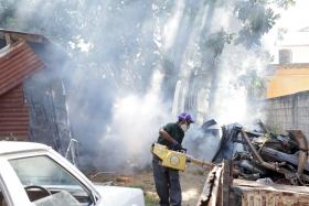 ZIKA: CASOS DE MICROCEFALIA PODERÃO SER 2.500 NO NORDESTE BRASILEIRO, DIZ OMS