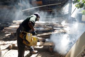 ZIKA: BRASIL CONFIRMA 907 CASOS DE MICROCEFALIA