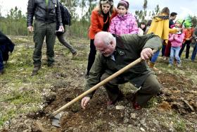 GOVERNO QUER RECUPERAR 150 MIL HECTARES DE FLORESTA NA PRÓXIMA DÉCADA