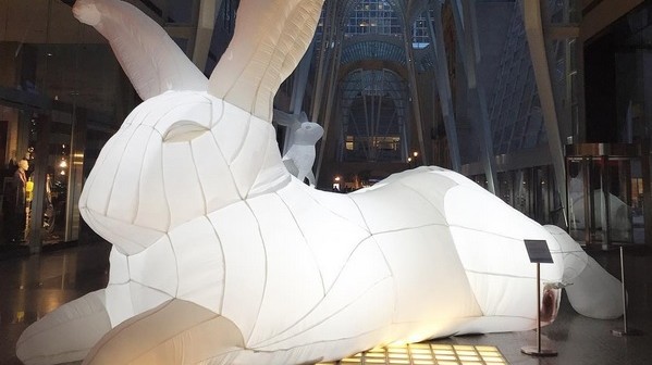 Foto de um coelho gigante via Toronto Financial District Instagram. (mytofd)