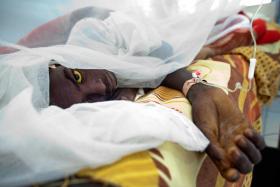 FEBRE-AMARELA CAUSOU A MORTE DE 250 PESSOAS EM ANGOLA EM QUATRO MESES