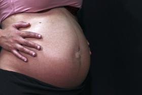 CASAL PORTUGUÊS RECORREU A BARRIGA DE ALUGUER E PAGOU 50 MIL EUROS PELOS FILHOS BIOLÓGICOS