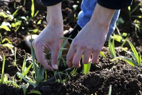 PRÉMIO JOVEM CIENTISTA DO ANO PARA INVESTIGADOR DO INSTITUTO SUPERIOR DE AGRONOMIA
