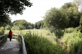 TODO O PAÍS COM NÍVEIS MUITO ELEVADOS DE PÓLEN NOS PRÓXIMOS DIAS