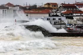 FLORES E CORVO SOB AVISO AMARELO FACE A PREVISÃO DE CHUVA E TROVOADA