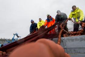 DOCUMENTÁRIO “MAR DE SINES” ESTREIA DOMINGO E HOMENAGEIA PESCADORES DO CONCELHO