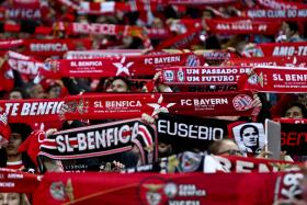 SEIS DETIDOS POR VENDA NA INTERNET DE BILHETES PARA O BENFICA-BAYERN DE MUNIQUE
