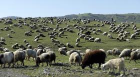 MINISTROS DA AGRICULTURA DO G7 DISCUTEM NO JAPÃO SEGURANÇA ALIMENTAR