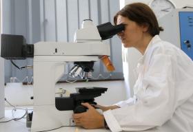 CIENTISTAS DOS EUA DESCOBREM MEDICAMENTO QUE DESTRÓI CÉLULAS CANCERÍGENAS