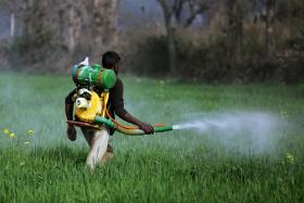 PETIÇÃO PARA PROIBIÇÃO DO PESTICIDA GLIFOSATO JÁ TEM 15 MIL ASSINATURAS