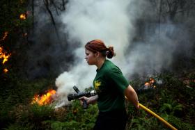 OPERAÇÃO CONTRA FOGOS FLORESTAIS DETETA 2.710 INFRAÇÕES NO DISTRITO DE COIMBRA