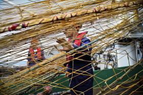 PESCADORES SATISFEITOS COM PRIMEIRA SAFRA DE SARDINHA DO ANO