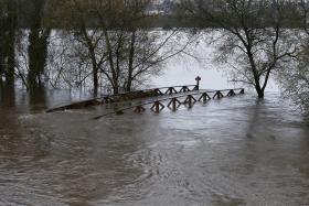 ÁGUA SALGADA INVADE CAMPOS NO BAIXO VOUGA, AGRICULTORES PEDEM MEDIDAS