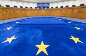 PORTUGAL ACEITA PAGAR INDEMNIZAÇÃO NO CASO DA MÃE QUE FICOU SEM SETE FILHOS