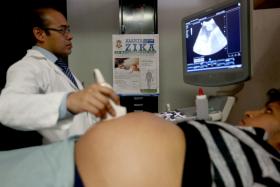 ESPANHA REGISTA PRIMEIRO CASO DE MICROCEFALIA RELACIONADA COM O VÍRUS ZIKA