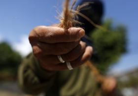 SECA DEIXA QUASE 100 MIL CRIANÇAS ANGOLANAS EM DESNUTRIÇÃO AGUDA GRAVE – UNICEF