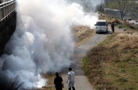 ZIKA: INFEÇÃO DE MOSQUITOS COM BACTÉRIA PODE REDUZIR TRANSMISSÃO DO VÍRUS – ESTUDO