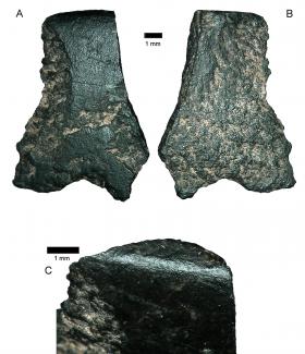 CIENTISTAS DIZEM TER ENCONTRADO NA AUSTRÁLIA VESTÍGIO DE MACHADO COM 43 MIL ANOS