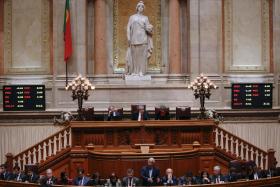 PARLAMENTO APROVA PROCRIAÇÃO MEDICAMENTE ASSISTIDA