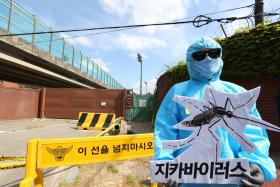 ZIKA É RESULTADO DO ABANDONO DAS POLÍTICAS ANTI-MOSQUITO NOS ANOS 1970, DIZ OMS