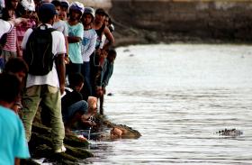 ATAQUES DE CROCODILOS EM TIMOR-LESTE AUMENTAM SEM MEDIDAS DE CONTROLO