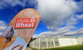 MONSANTO REJEITA OFERTA DA BAYER MAS CONTINUA DISPONÍVEL A NEGOCIAR
