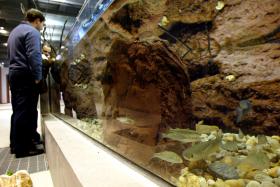 30 ANOS/LUSA: FLUVIÁRIO COLOCOU MORA NO MAPA E JÁ TEVE COM 750 MIL VISITANTES