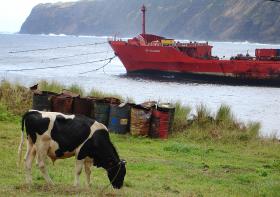 MAU TEMPO: LIGAÇÕES AÉREAS E MARITIMAS AFETADAS NOS AÇORES