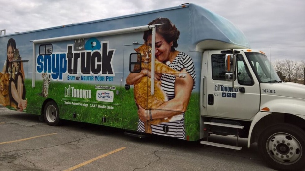 (Toronto Animal Services)