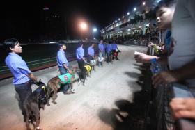 DEPUTADA DE MACAU PROPÕE INSTALAÇÕES SOCIAIS EM PISTA DE CORRIDAS DE GALGOS
