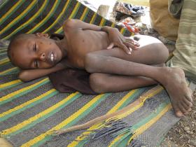 FOME EM ÁFRICA AFETA 40 MILHÕES E PODERÁ AGRAVAR-SE EM JULHO, ALERTAM ORGANIZAÇÕES