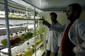 PORTO VAI TER HUB DE BIOTECNOLOGIA