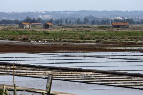 ANGOLA PEDIU APOIO À FAO PARA ENSINAR A PRODUZIR RAÇÃO PARA A PISCICULTURA