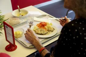 INVESTIGADORES DA UPORTO CRIAM RODA DA ALIMENTAÇÃO MEDITERRÂNEA