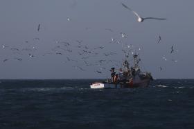 OITO PESCADORES ANGOLANOS ESTIVERAM À DERIVA DURANTE QUASE 20 DIAS