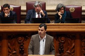 PAN QUER UM REPRESENTANTE DOS VETERINÁRIOS NO CONSELHO DE ÉTICA PARA CIÊNCIAS DA VIDA