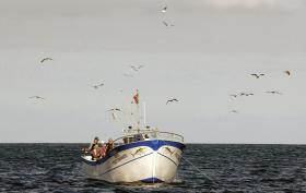 SINDICATO NOS AÇORES ALERTA PARA DIMINUIÇÃO DOS RENDIMENTOS NA PESCA