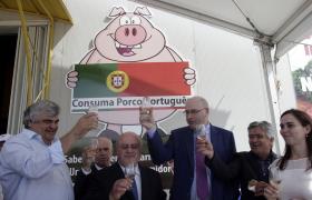 COMISSÁRIO DA AGRICULTURA ADMITE MEDIDAS ADICIONAIS PARA APOIAR LEITE DOS AÇORES