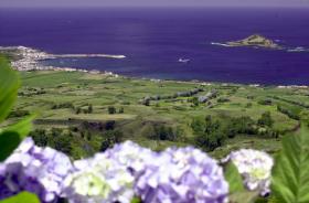SISMO COM MAGNITUDE 3,6 SENTIDO NOS GINETES, NOS AÇORES